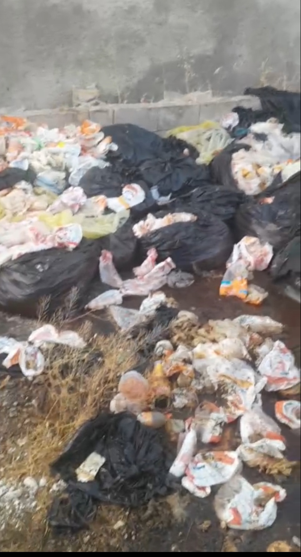 سکوت مرکز بهداشت بویراحمد و شهرداری در برابر فاجعه بهداشتی مادوان