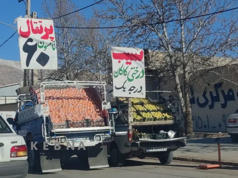 وانت‌های میوه‌فروش؛ سد معبر در یاسوج و بی کفایتی مسئولان