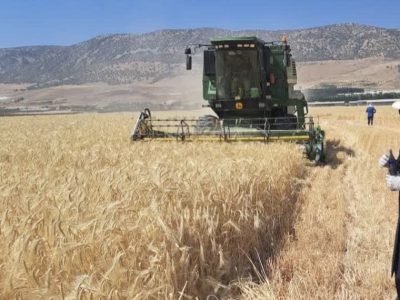 ارتقای بهره‌وری آب؛ راهکار عبور از چالش امنیت غذایی در شرایط کم‌آبی