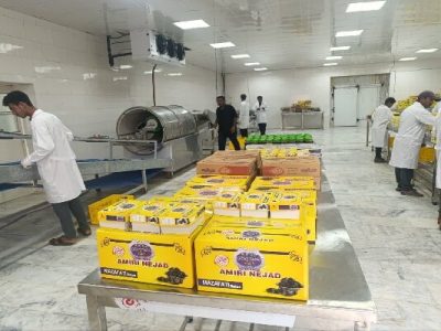 توسعه صادرات خوزستان با کارخانه‌های فرآوری در عراق