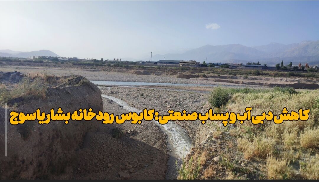 کاهش دبی آب و پساب صنعتی؛ تهدیدی جدی برای رودخانه بشار یاسوج