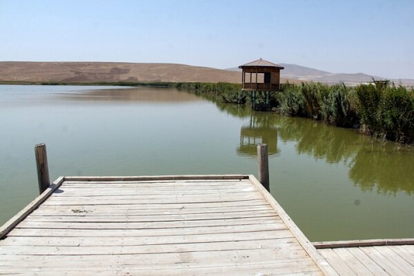 آبگیری کامل تالاب بین‌المللی درگه‌سنگی نقده