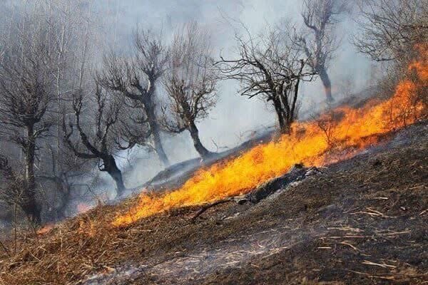 آمادگی ۱۲۰۰ تیم عملیاتی برای مقابله با آتش‌سوزی‌های طبیعی