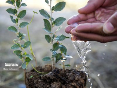 اجرای طرح مدیریت رواناب در جفیر هویزه برای حفاظت از منابع آب و خاک