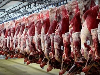 افزایش واردات گوشت می‌تواند قیمت‌ها را کاهش دهد