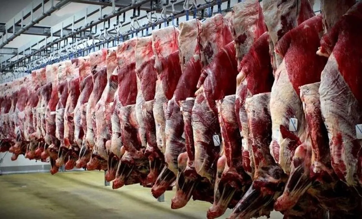 افزایش واردات گوشت می‌تواند قیمت‌ها را کاهش دهد