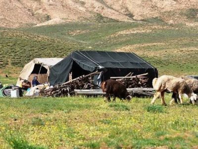 تأمین آب ۴۵۰۰ خانوار عشایری کرمانشاه با ۳۳ تانکر آبرسانی
