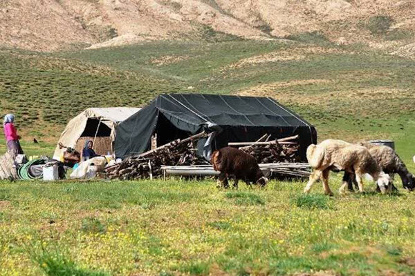 تأمین آب ۴۵۰۰ خانوار عشایری کرمانشاه با ۳۳ تانکر آبرسانی