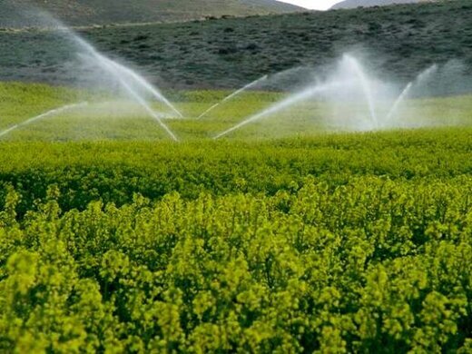 تزریق ۱۳۶ میلیارد تومان به طرح‌های آب و خاک یاسوج