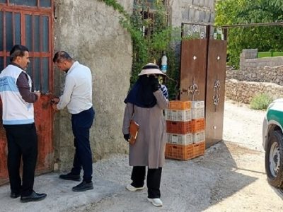 تشدید نظارت‌ها بر عرضه مرغ زنده غیرمجاز در یوسف‌آباد بویراحمد