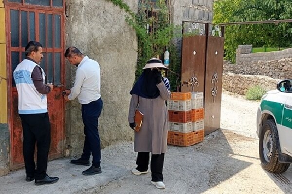 تشدید نظارت‌ها بر عرضه مرغ زنده غیرمجاز در یوسف‌آباد بویراحمد