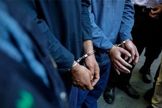 دستگیری سارقان سیم برق در کنگان و کشف ۲۴ فقره سرقت