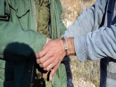 دستگیری شکارچی غیرمجاز میش وحشی در فاروج