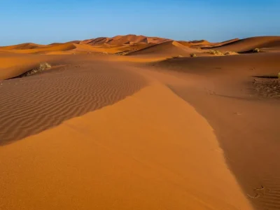ساهارا؛ بزرگ‌ترین بیابان گرم جهان و ویژگی‌های شگفت‌انگیز آن
