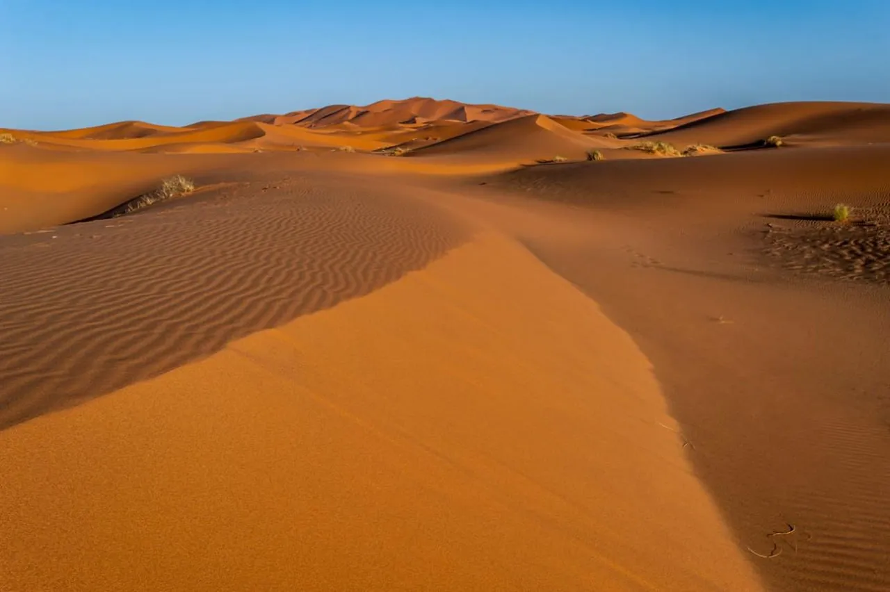 ساهارا؛ بزرگ‌ترین بیابان گرم جهان و ویژگی‌های شگفت‌انگیز آن