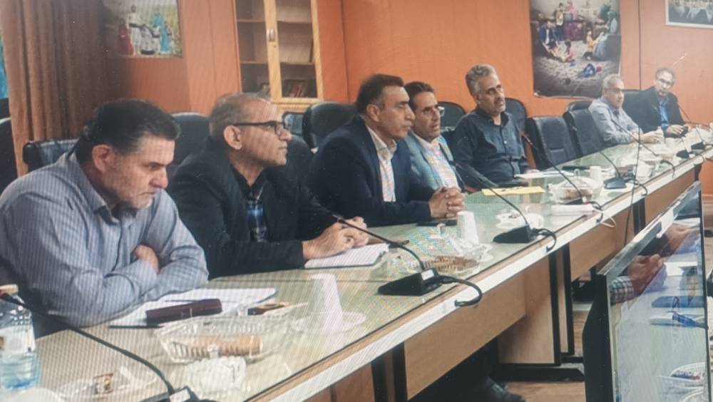 ضرورت ایمن‌سازی نقاط پرخطر در نشست کمیته پیشگیری از غرق‌شدگی