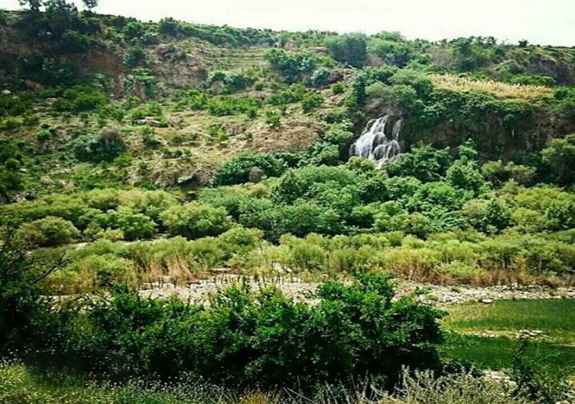 ضرورت حفاظت از جنگل‌های کوهمره سرخی شیراز برای آینده گردشگری طبیعی