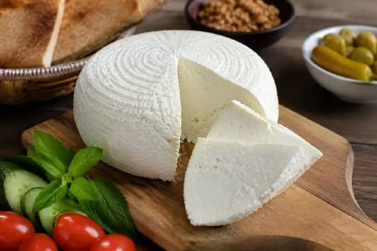 طرز تهیه پنیر خانگی خوشمزه با شیر خشک