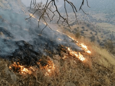 مهار آتش‌سوزی در ارتفاعات روستای کت بهمئی بعد از ۳ ساعت تلاش