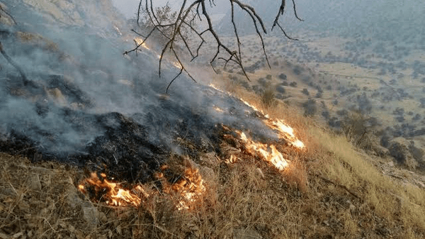 مهار آتش‌سوزی در ارتفاعات روستای کت بهمئی بعد از ۳ ساعت تلاش