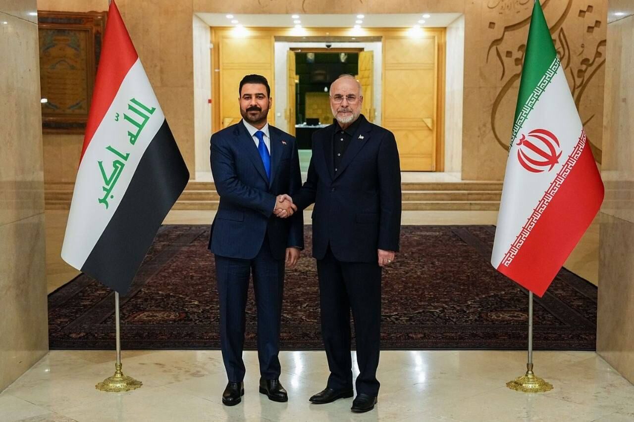 نخست وزیر عراق با رئیس مجلس شورای اسلامی دیدار کرد