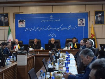 نشست نظارتی کمیسیون امور داخلی کشور با وزیر نیرو برگزار شد