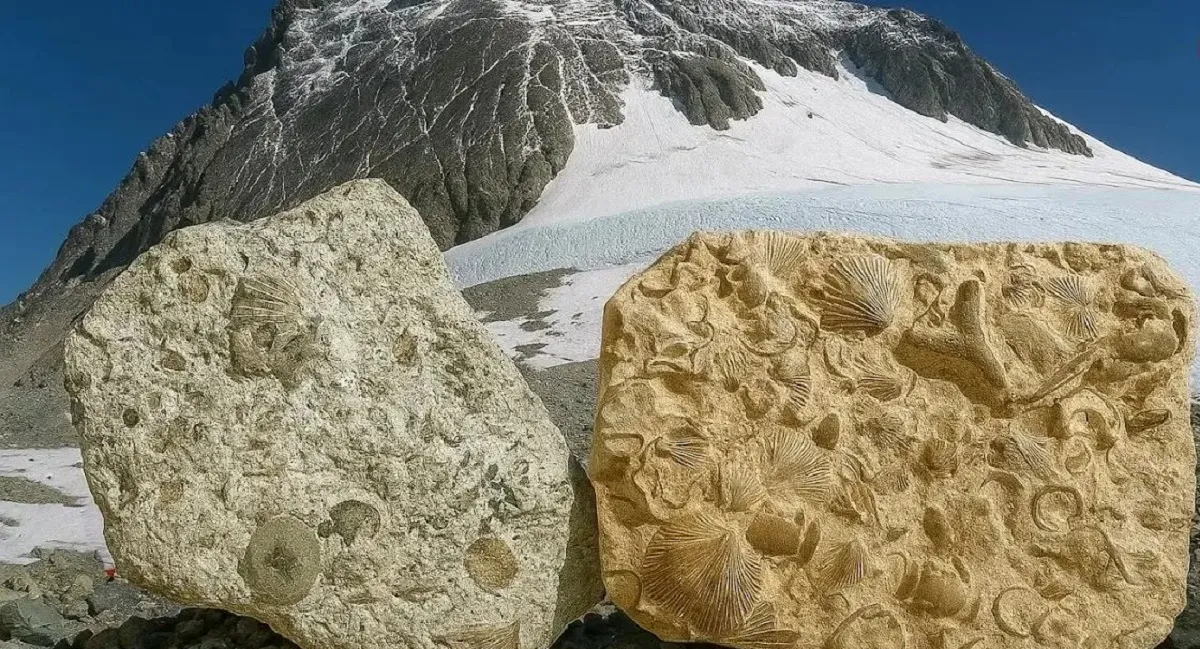 کشف فسیل‌های دریایی در قله اورست و رازهای زمین‌شناسی آن