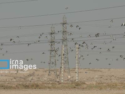 کیفیت هوای سه شهرستان چهارمحال و بختیاری ناسالم شد