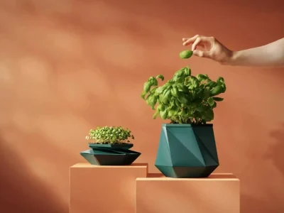 گلدان هوشمند هلیکس؛ راهی نوین برای پرورش گیاه بدون تعویض گلدان