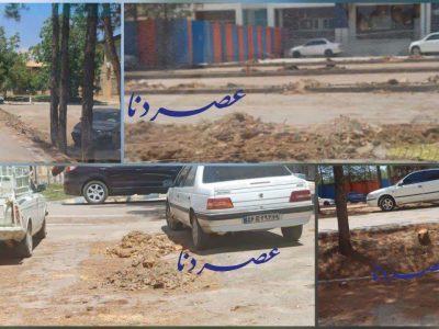 قطع درختان در استانداری کهگیلویه و بویراحمد؛ مطالبه فعالان محیط زیست برای شفاف‌سازی