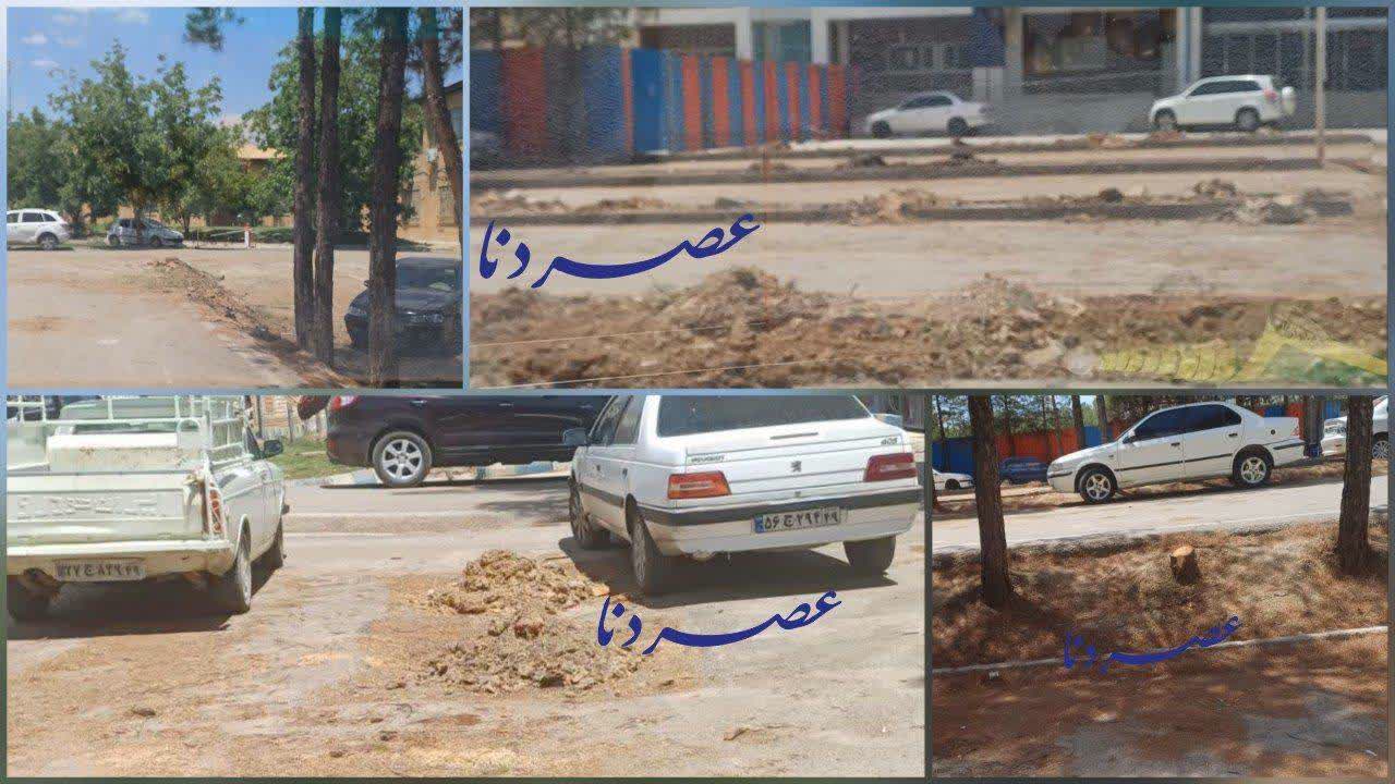 قطع درختان در استانداری کهگیلویه و بویراحمد؛ مطالبه فعالان محیط زیست برای شفاف‌سازی