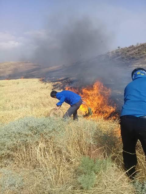 آتش سوزی مراتع روستای آب کاسه تا پادوک دهدشت؛ کهگیلویه و بویراحمد