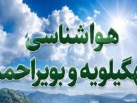 تندباد‌های لحظه‌ای در راه کهگیلویه و بویراحمد