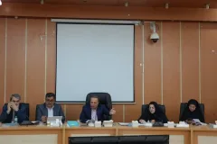 توسعه مهارت‌های فنی در کهگیلویه و بویراحمد بر اساس ظرفیت‌های بومی تدوین می‌شود