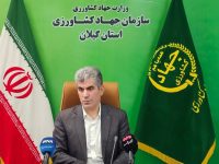 تولید سالانه ۶.۶ میلیون تن محصول کشاورزی در گیلان؛ نقش بی‌بدیل استان در امنیت غذایی کشور