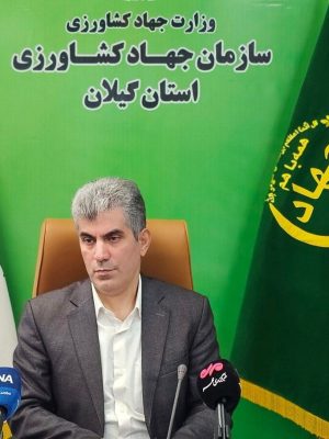 تولید سالانه ۶.۶ میلیون تن محصول کشاورزی در گیلان؛ نقش بی‌بدیل استان در امنیت غذایی کشور