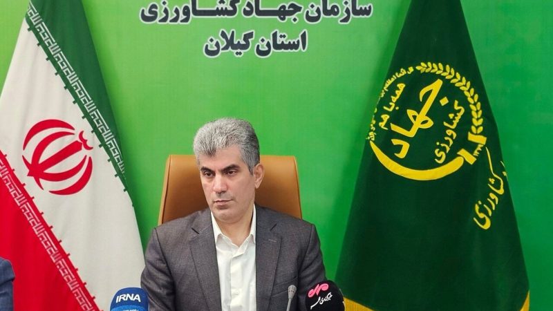 تولید سالانه ۶.۶ میلیون تن محصول کشاورزی در گیلان؛ نقش بی‌بدیل استان در امنیت غذایی کشور