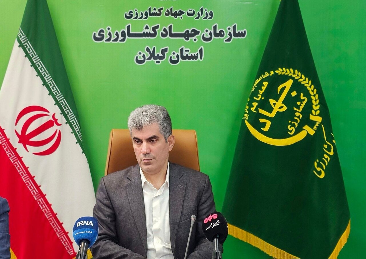 تولید سالانه ۶.۶ میلیون تن محصول کشاورزی در گیلان؛ نقش بی‌بدیل استان در امنیت غذایی کشور