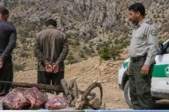 کشف اسلحه و لاشه کل و بز وحشی در پارک ملی دنا/ جلوگیری از حفاری غیرمجاز عشایر
