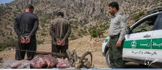 کشف اسلحه و لاشه کل و بز وحشی در پارک ملی دنا/ جلوگیری از حفاری غیرمجاز عشایر
