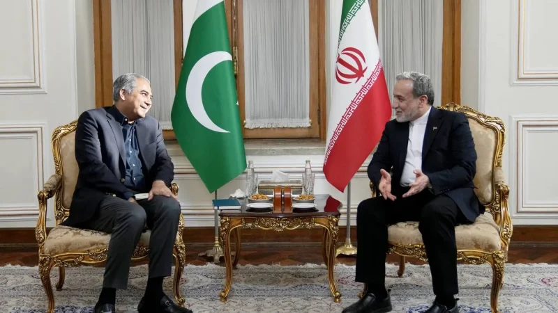 دیدار وزیر کشور پاکستان با عراقچی