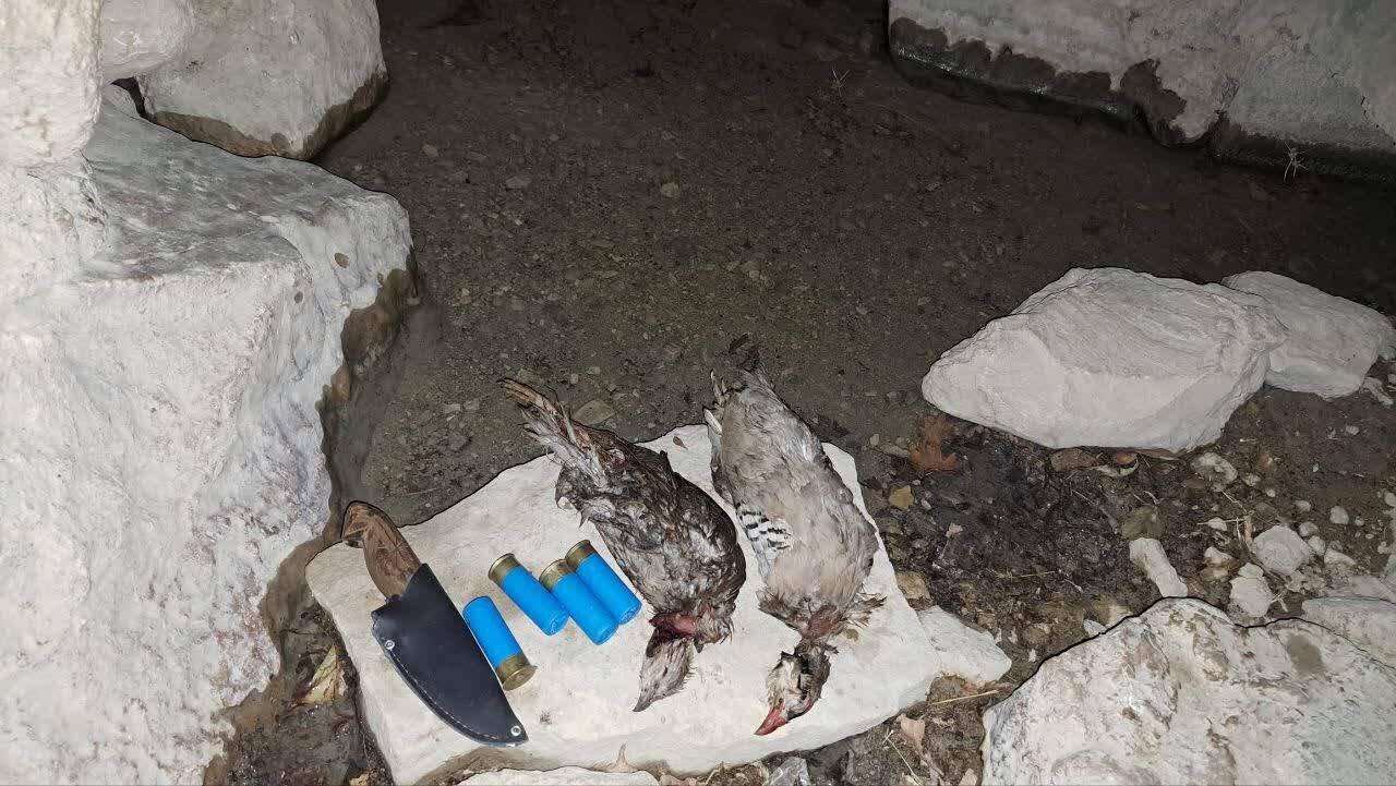 شکارچی متخلف پس از ۱۲ ساعت پایش محیط‌بانان در آرند چرام دستگیر شد