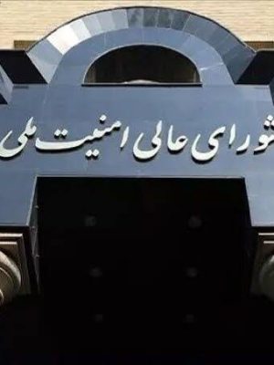 طباطبایی: با حکم پزشکیان، رضایی دبیر شورای عالی امنیت ملی شد