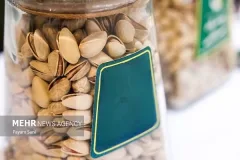 پسته به بورس کالا می‌آید؛ گواهی سپرده «PistaCL» از سوم شهریور معامله می‌شود