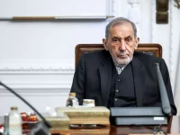 پیام تبریک ولایتی به محسن رضایی