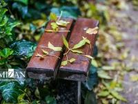 پیش‌بینی رگبار و وزش باد برای بیش از ۱۵ استان طی ۲ روز آینده