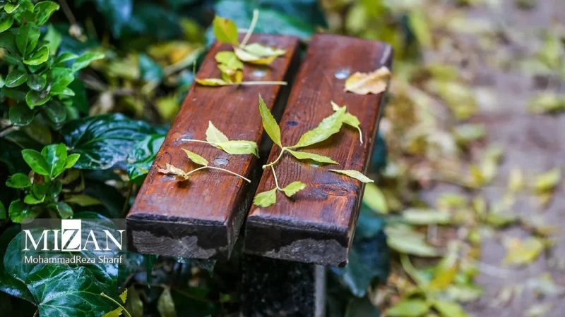 پیش‌بینی رگبار و وزش باد برای بیش از ۱۵ استان طی ۲ روز آینده