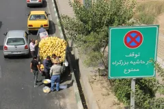 آغاز طرح ضربتی جمع‌آوری خودروهای اسقاطی و وانت‌بارهای فروشنده در تهران