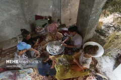 ابریشم گیلان در دام خام‌فروشی؛ ضرورت تکمیل زنجیره ارزش از توتستان تا برند جهانی