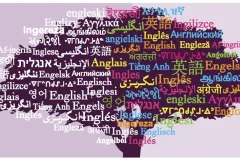 استقبال از تاسیس بنیاد زبان و ادبیات ترکی؛ از زبان های ایرانی حفاظت کنیم